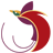 PNG Air logo